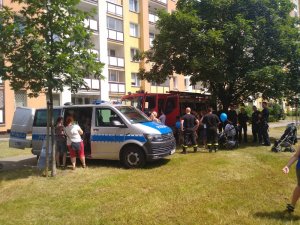 zdjęcie wykonane w plenerze, znajduje się na nim radiowóz policyjny oraz wóz strażacki, przed pojazdami znajdują się grupki osób dorosłych i dzieci oglądającym pojazdy oraz funkcjonariusze policji i strażacy